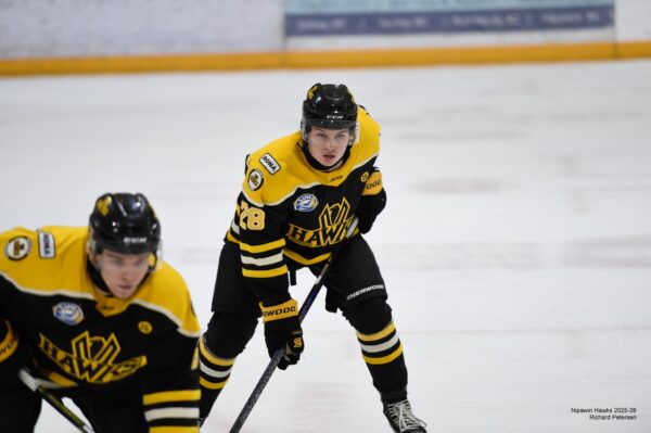 Hawks Light Up The Cage in High-Scoring Win Over Ice Wolves