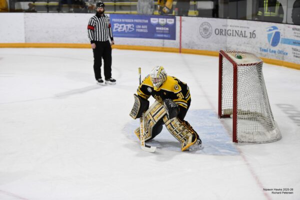 Hawks Blank Mustangs 4–0 at the Cage