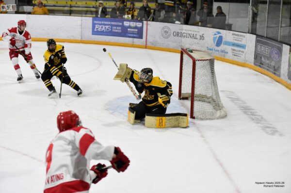 Hawks Take Game 2 in Front of Electric Home Crowd