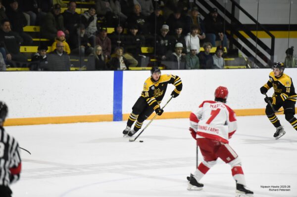 Red Wings Take Game 5 Despite Strong Crowd at the Cage