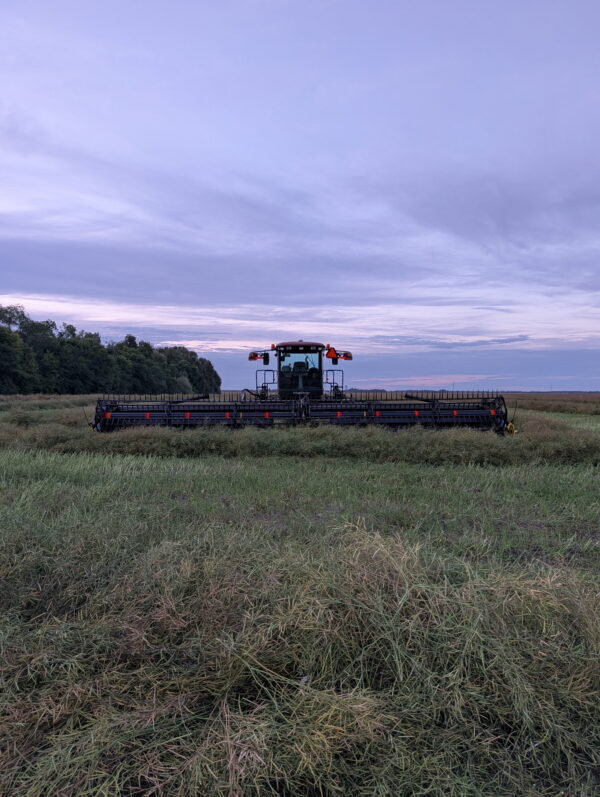 Farming with the Hawks: September Update
